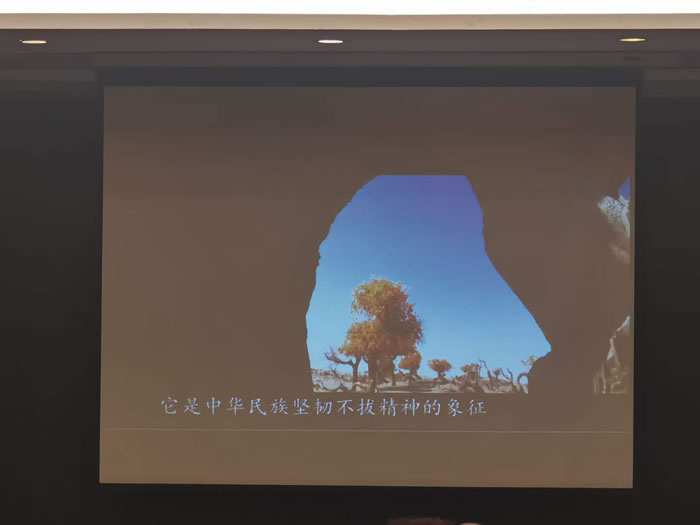 綿陽(yáng)中旅行假日旅行社舉行胡楊林、南疆專(zhuān)列推薦會(huì )