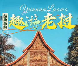 【趣游老撾 · 經(jīng)典版納】—昆明、普洱、西雙版納、磨丁、瑯勃拉邦四動(dòng)8日游